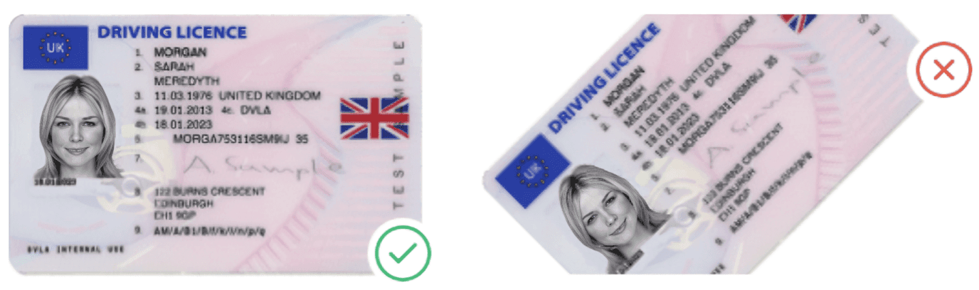 Driving Licence Sample